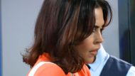 Is The Britch really back? | Image: ABC